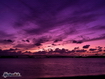 Sfondo: Purple Clouds